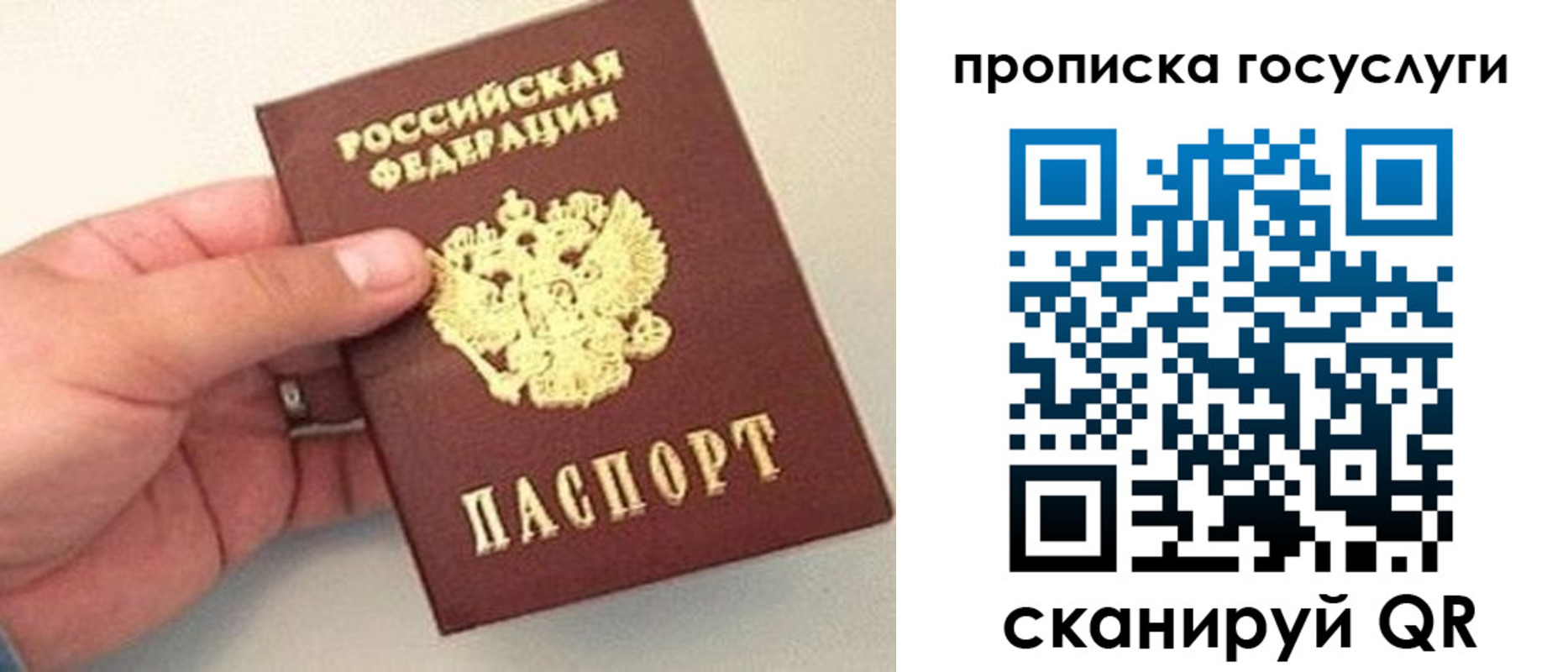 где прописаться в Людиново
